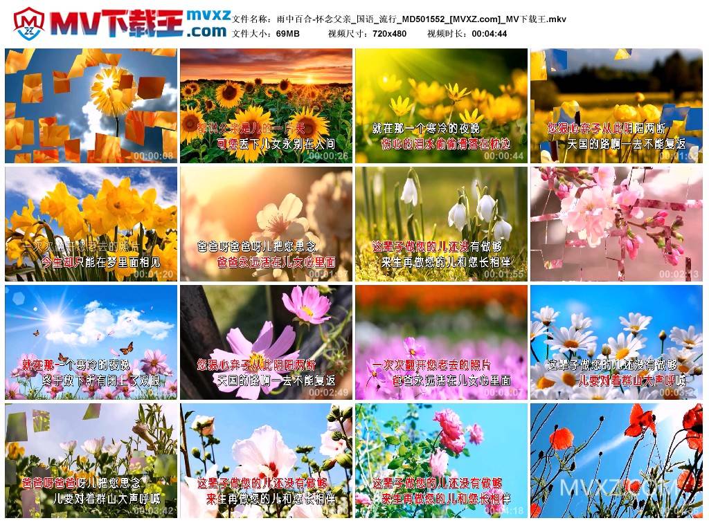 雨中百合-怀念父亲_国语_流行_MD501552
